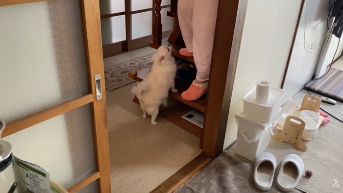 ついにママさんが起床♪