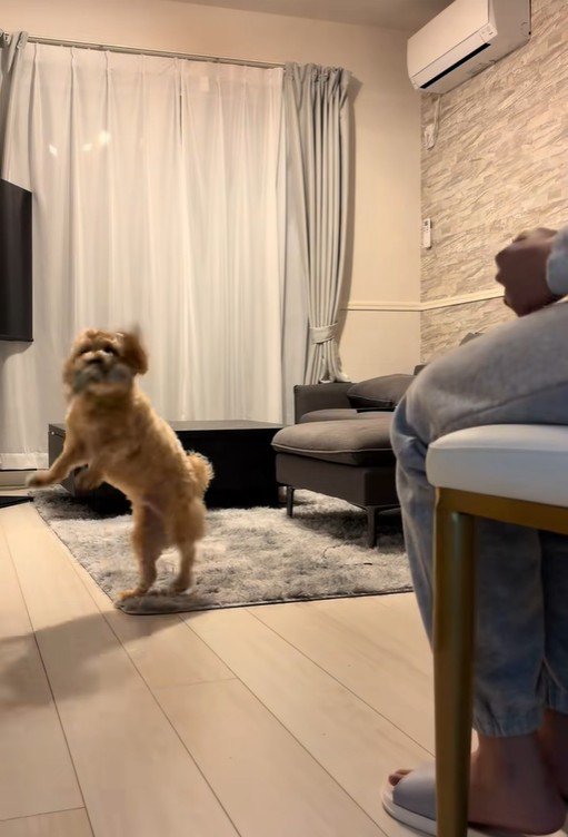 たわし君のナイトルーティン8