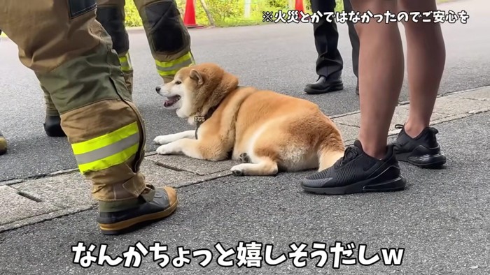 なんだか嬉しそう♪