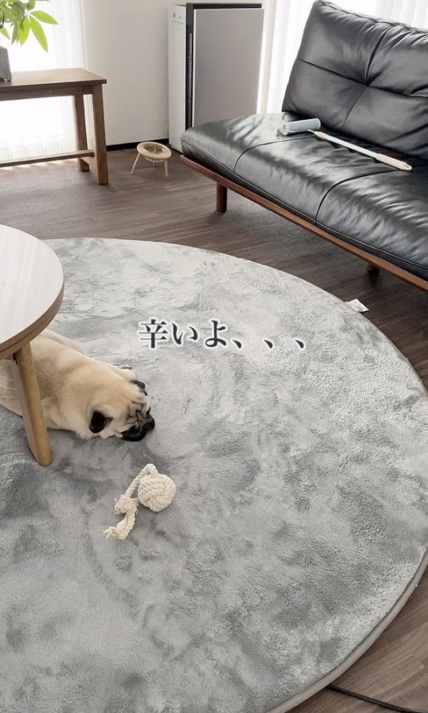 辛いよ