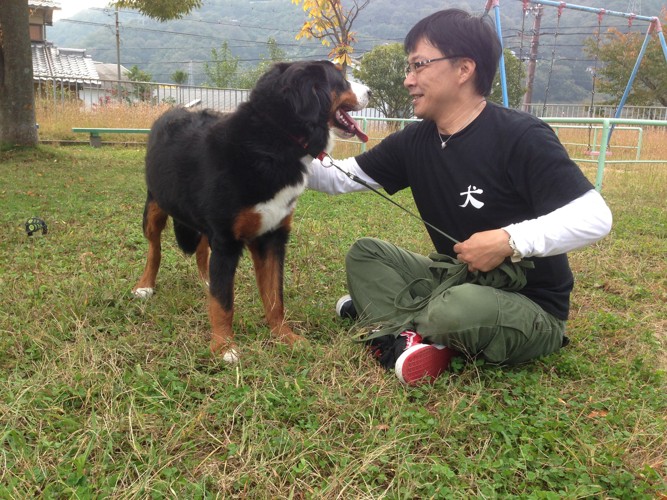 バーニーズと向かい合うわんぱぱ