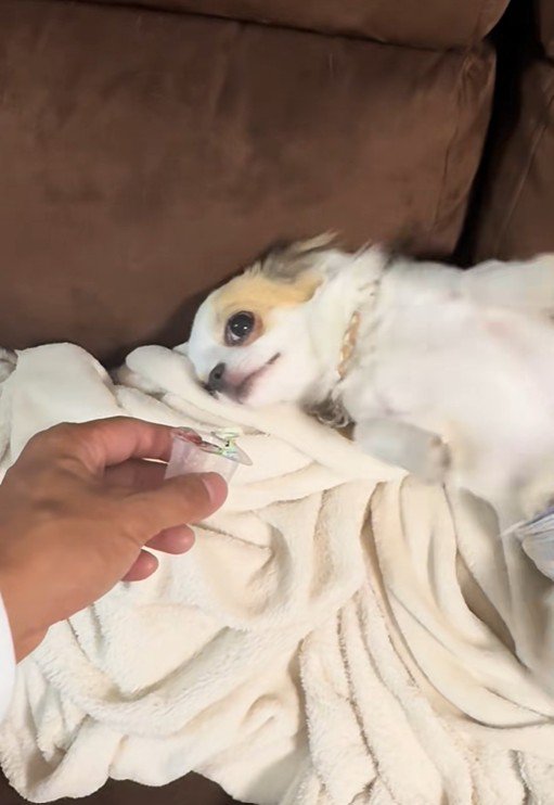 オレオちゃん＆マツちゃんの反応4