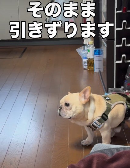 ズルズルズル…