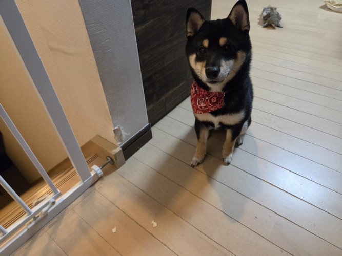 後日