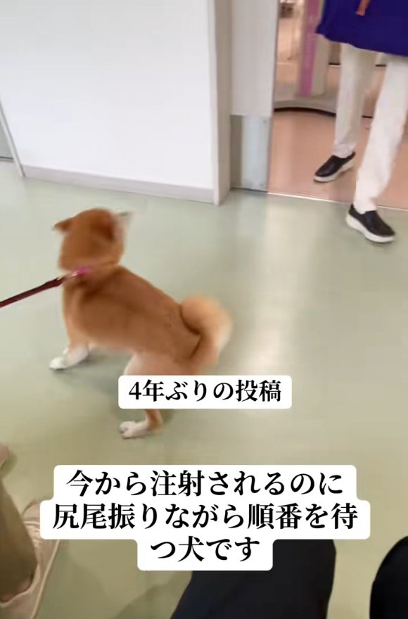 興奮するみなみちゃん