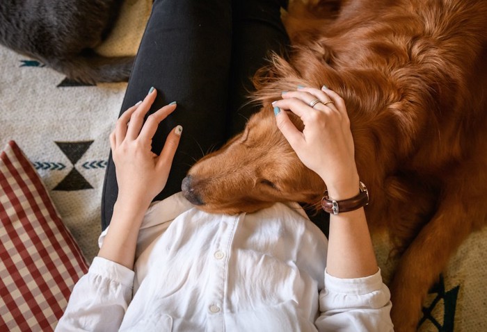 女性の足に頭を乗せる犬