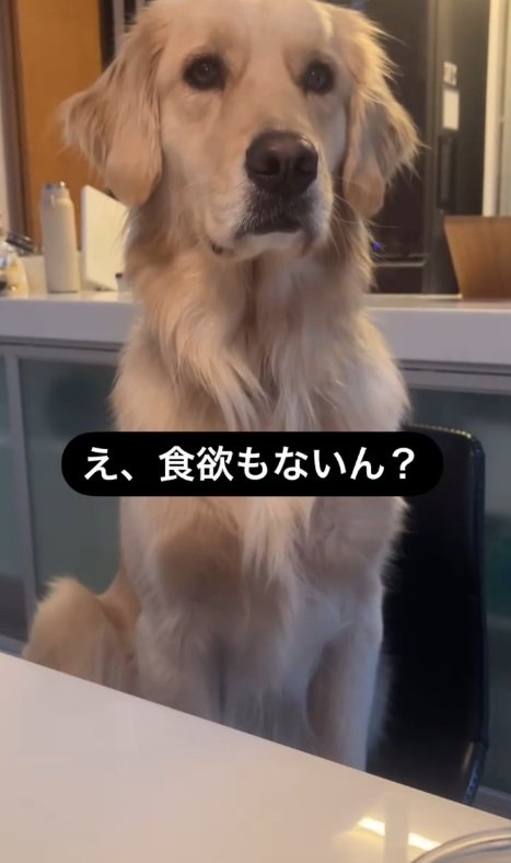 え、食欲もないん？