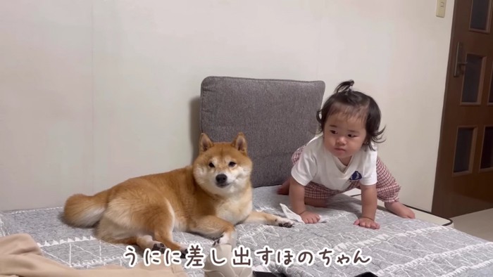 ウエットティッシュでお掃除