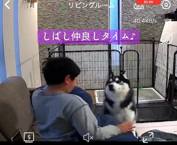 起きた息子さん