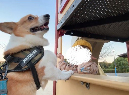 お店屋さんごっこに付き合ういなり君2