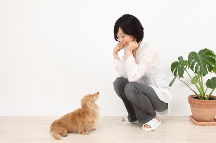 座る愛犬を見つめる女性