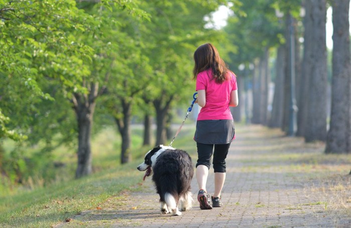 散歩する犬と女性の後ろ姿