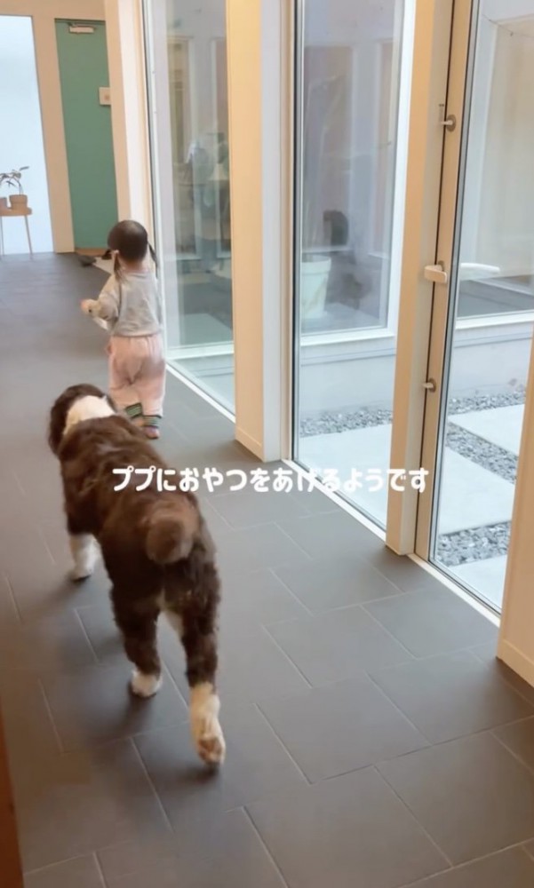 オヤツの時間〜