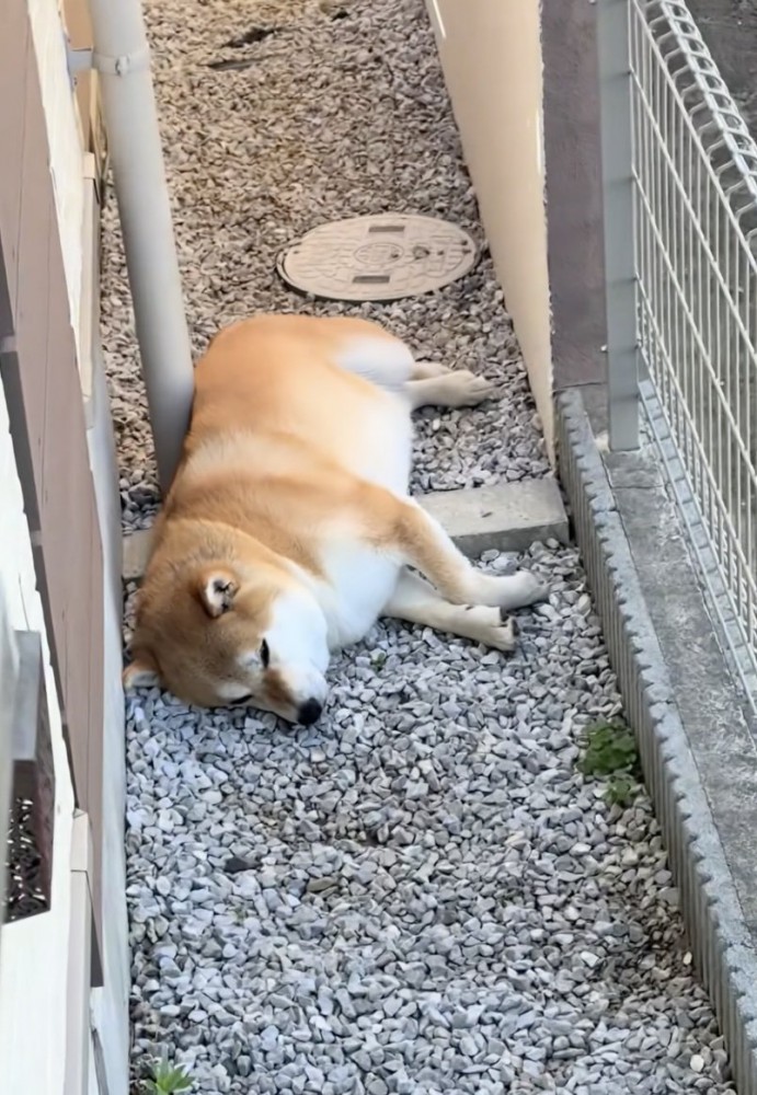 ZZZ…