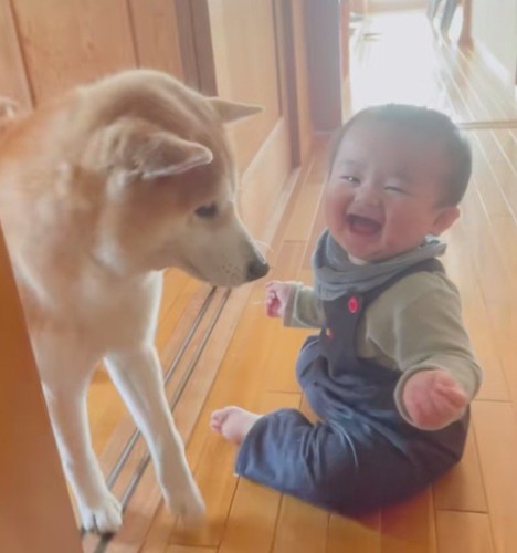 赤ちゃんが大笑い！
