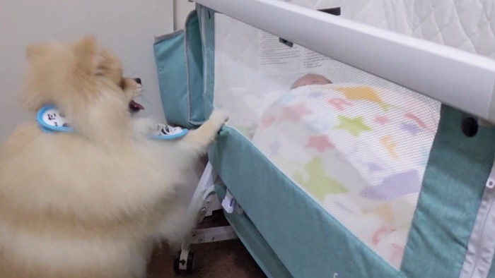 「よし♪泣き止んだみたい」