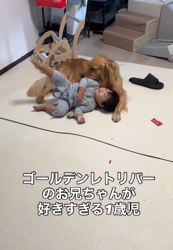 ピノくんに転がる息子さん