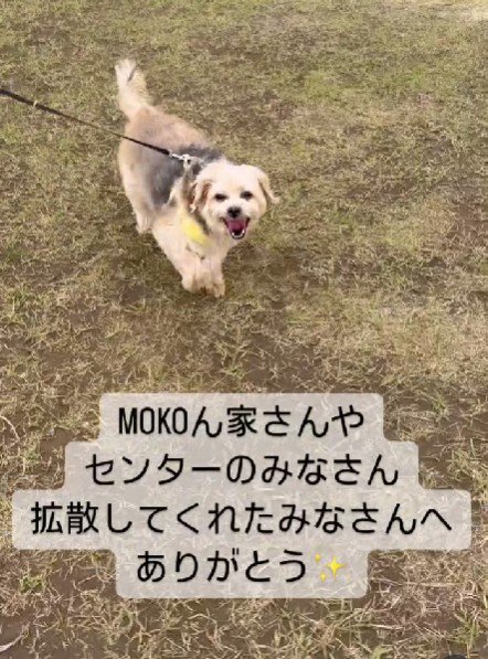 すっかり愛されわんこに