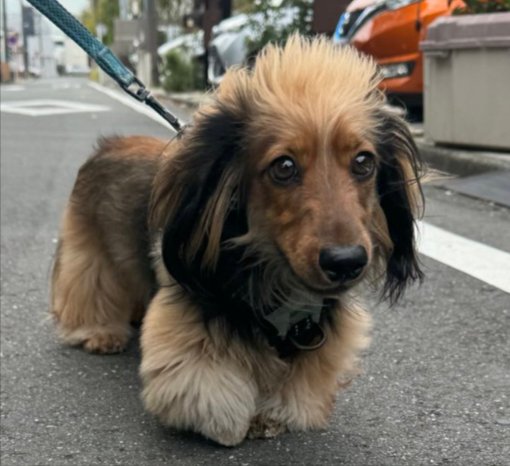 ロック