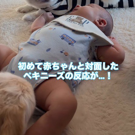 赤ちゃんとの出会い
