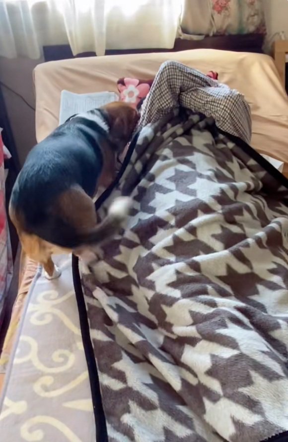 おじいちゃんに近づくさらんちゃん