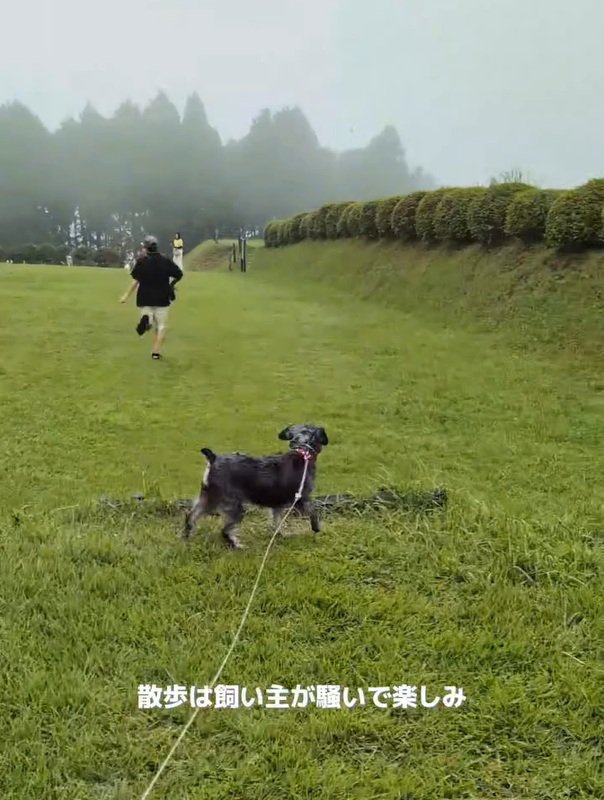散歩を楽しむ飼い主さん
