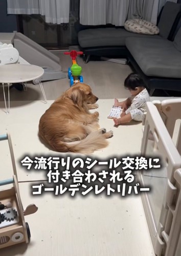 シールで遊ぶ男の子と見守る大型犬