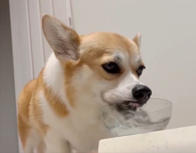 まさかの変顔