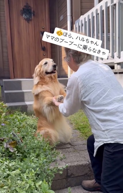 なだめられるハルちゃん