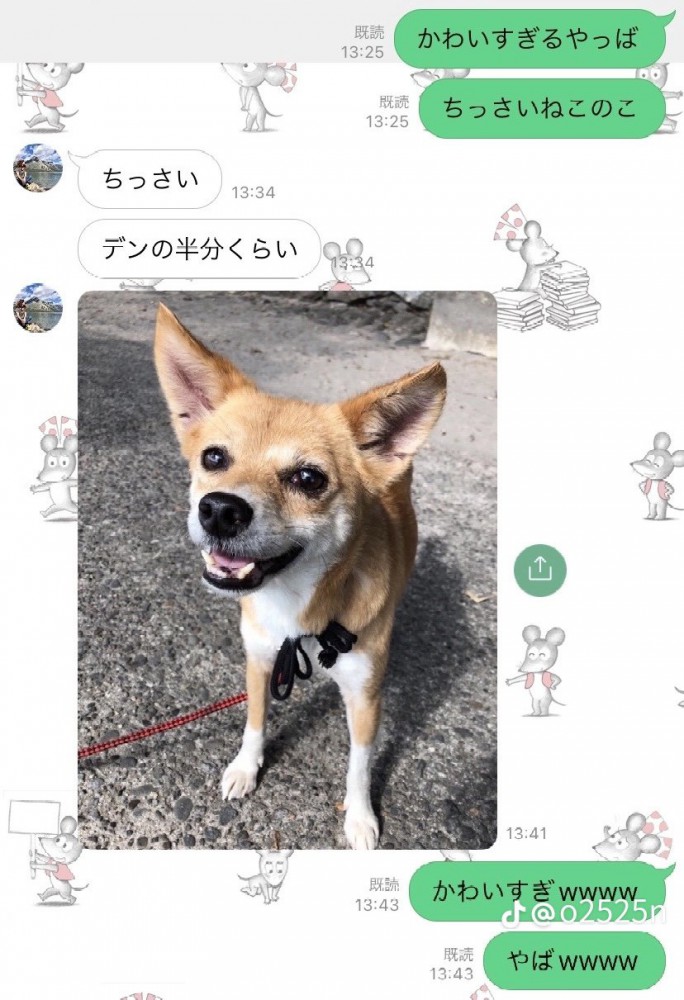 笑っている犬