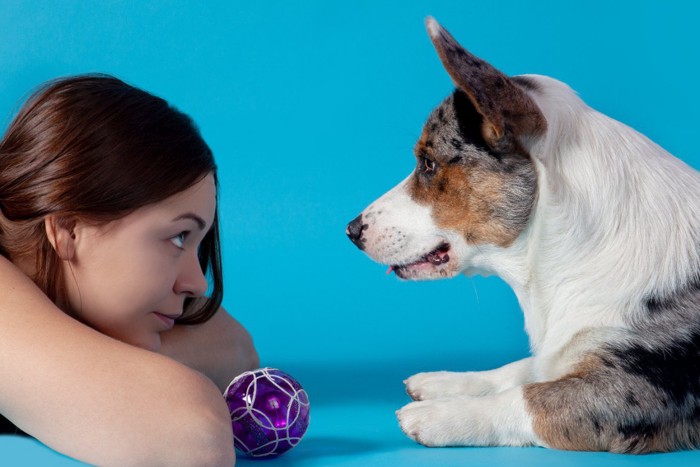 見つめ合う女性と犬