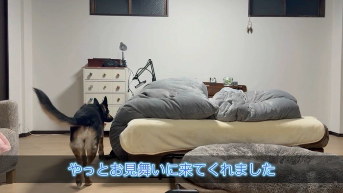 やっとお見舞いに来てくれました♪