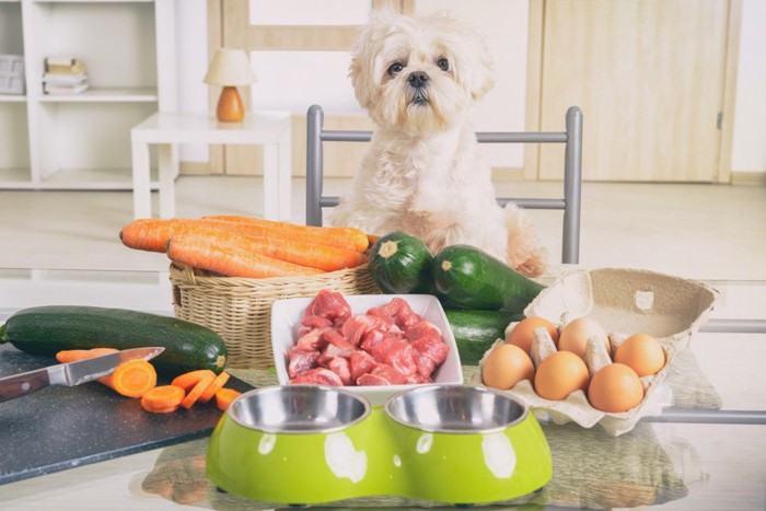 大量の野菜と犬