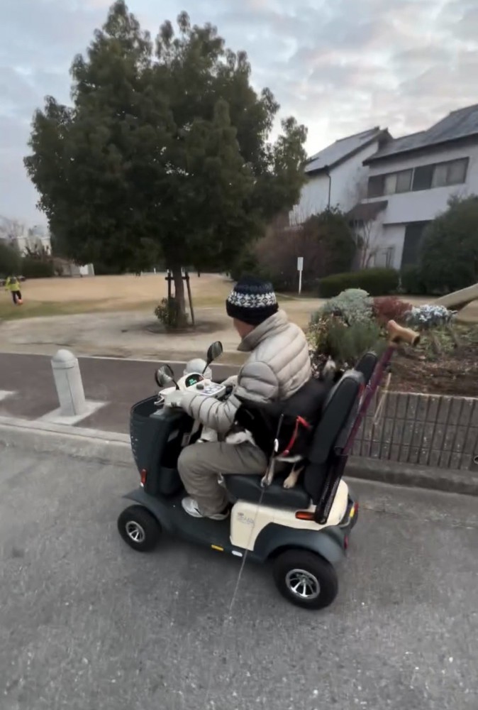 公園へ向かって走るシニアカーに乗る犬と人