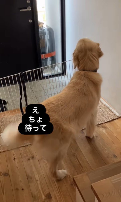 エマちゃんとパパさんの再会3