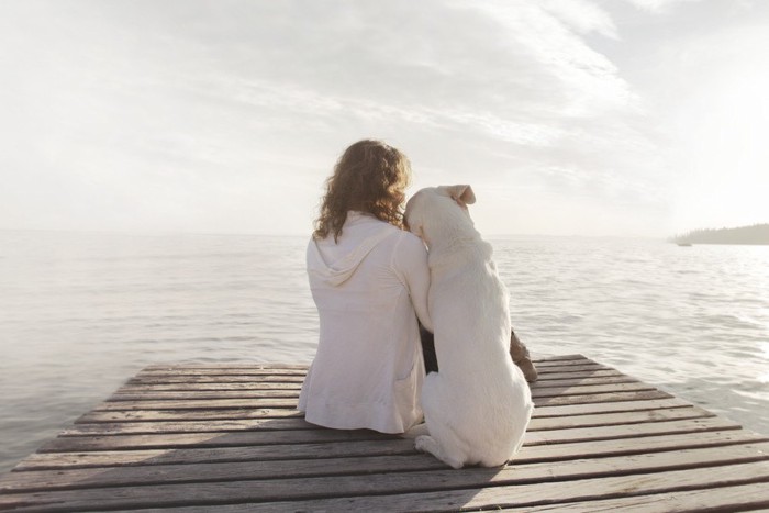 海を眺める女性と犬の後ろ姿