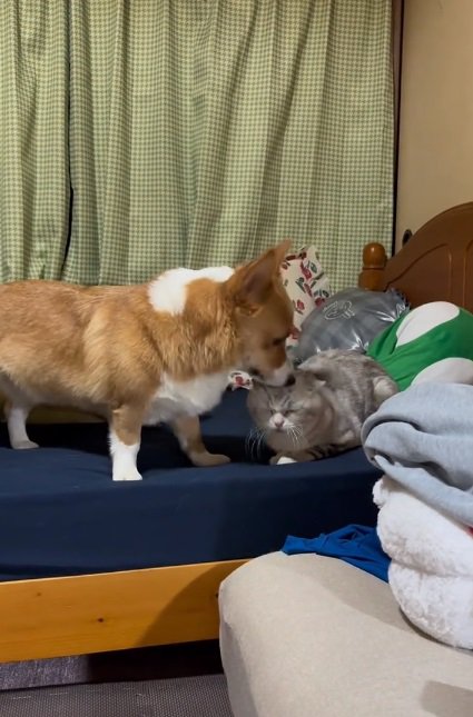 何度もチューする小麦くん