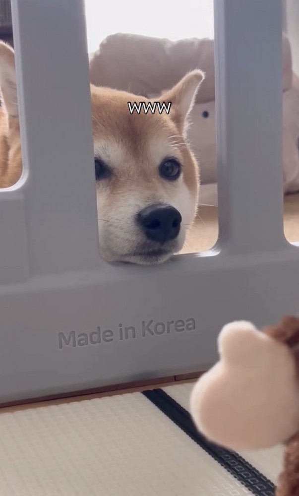 悟りを開いた…？