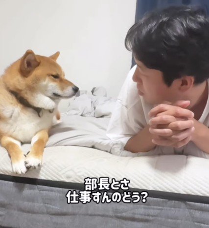 なんかいいネタ出てきそう！！