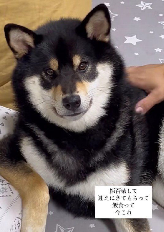 家族になでてもらいながら…