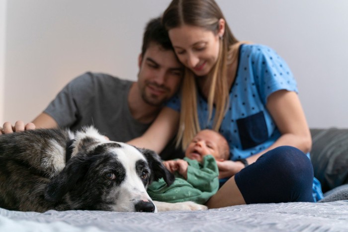 家族と犬