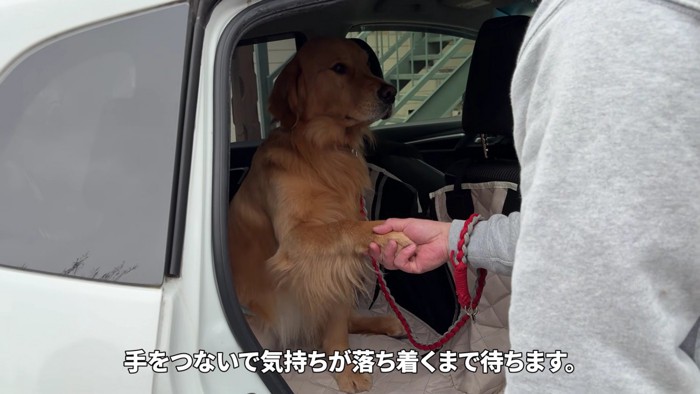 「お願いだから帰ろう?」