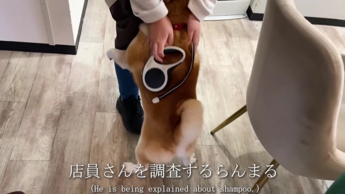 ペットホテルに到着