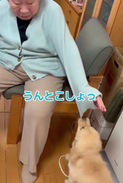 子犬期のライトちゃん