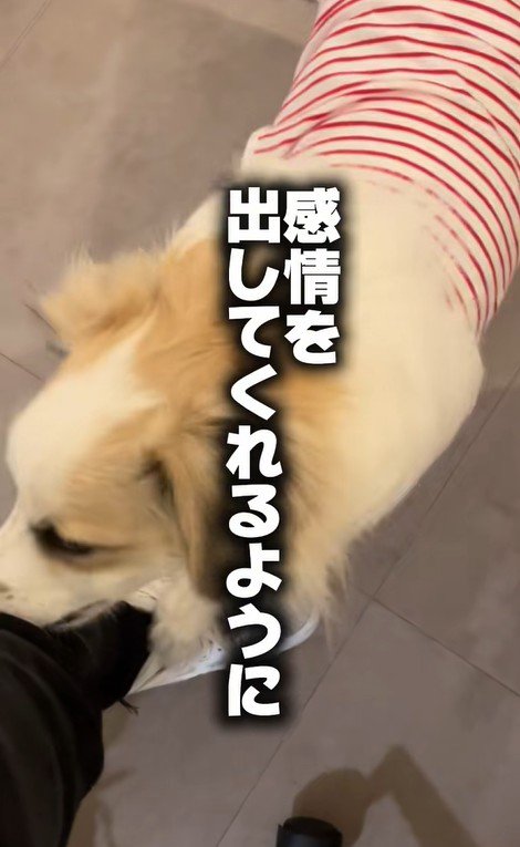 ダニエルくんとの数ヶ月間6