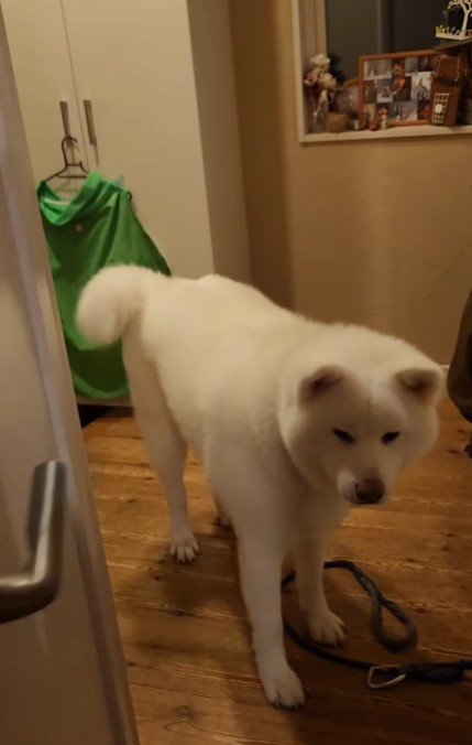 「…」
