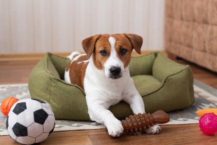 ベッドでおもちゃ遊び