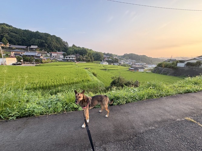 威風堂々