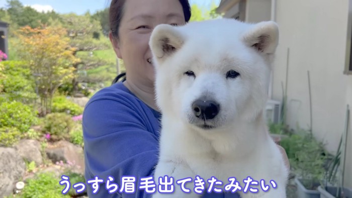 眉毛が出てきた！？