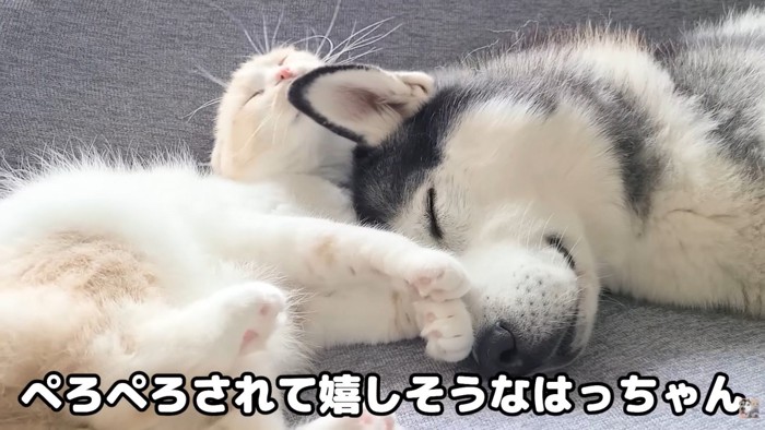 安心してお昼寝再開♡